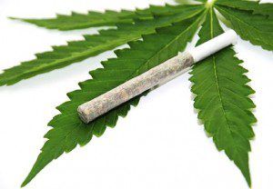 Marijuana joint on leaf