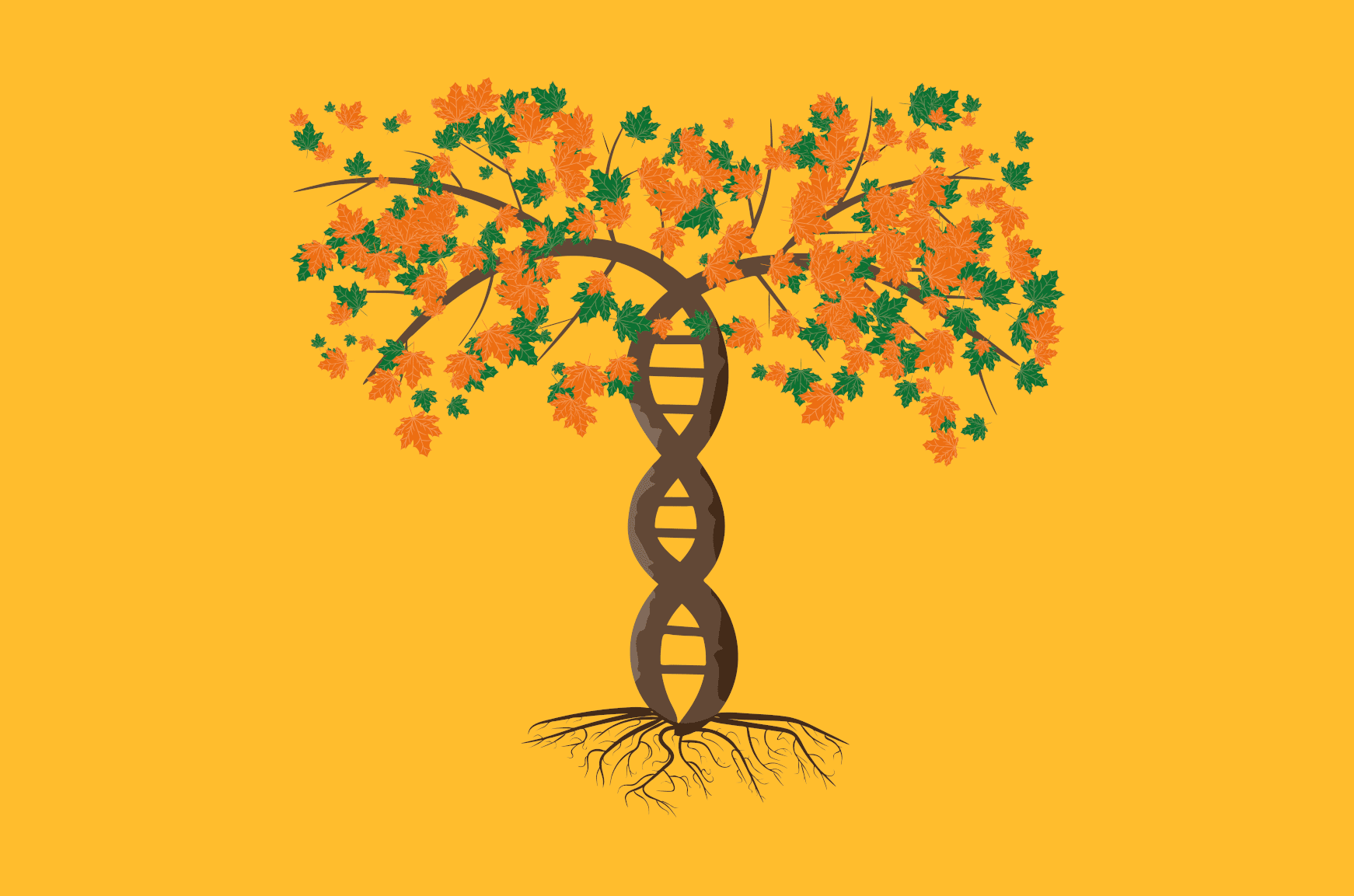 Addiction Tree Color Risk Factors for Addiction - Partnership to End Addiction