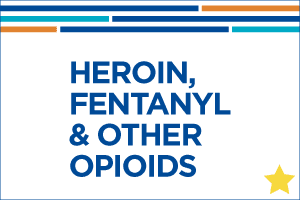Heroin, Fentanyl and Other Opioids eBook